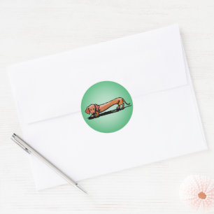 Little Red Doxie Stickers