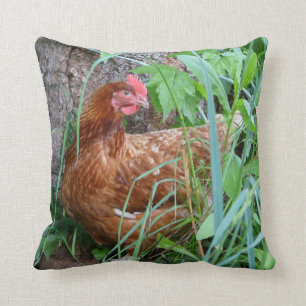 Little Red Hen in the Grass Cushion