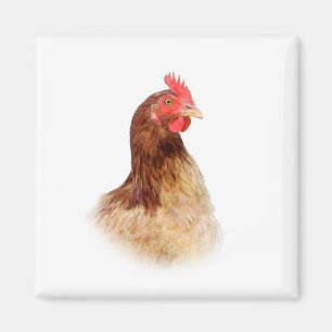 Little Red Hen Magnet