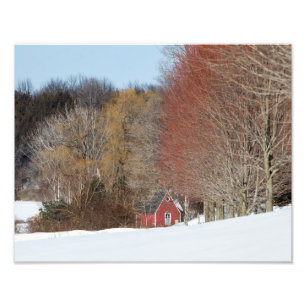 Little Red House Photo Print
