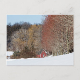Little Red House Postcard