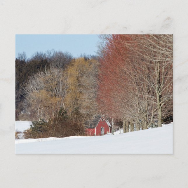 Little Red House Postcard (Front)