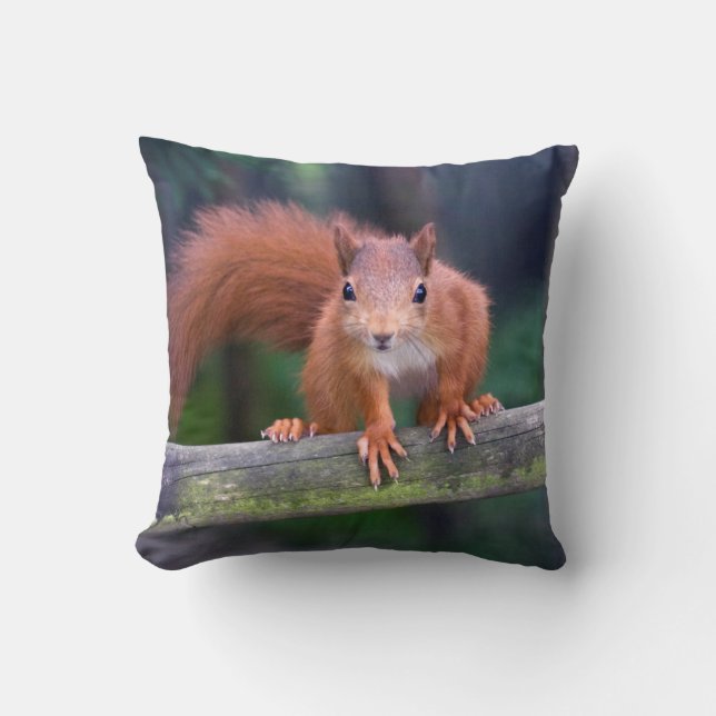 Little Red Pillow (Front)