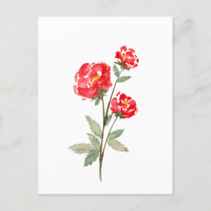 Little Red Rose Flower Postcard