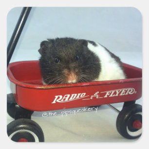 Little Red Wagon Square Sticker