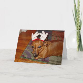Little Reindeer  Holiday Card