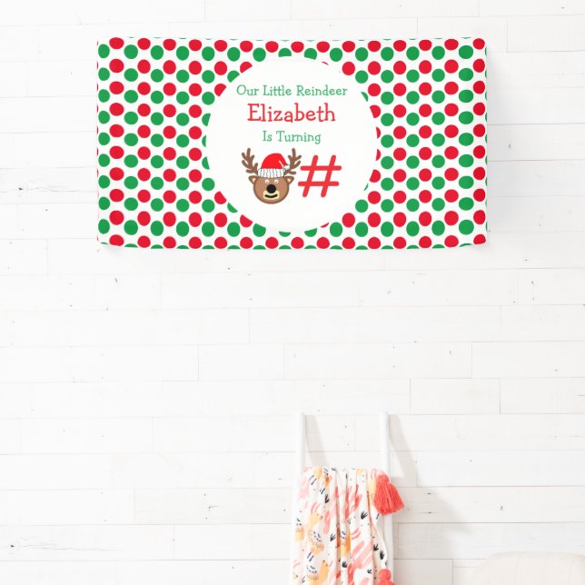 Little Reindeer Kids Birthday Banner (Insitu)