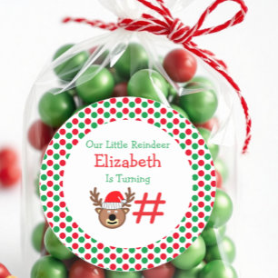 Little Reindeer Kids Birthday Classic Round Sticker