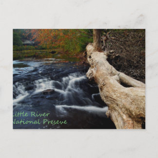 Little River Postcard