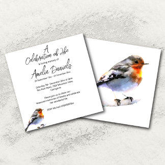 Little Robin Celebration of Life Announcement