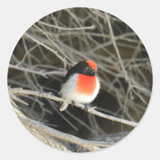 little robin redbreast bird sitting on a twig classic round sticker