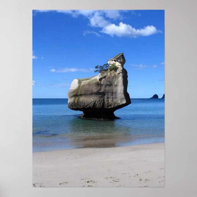 Little Rock Hahei Cathedral Cove New Zealand Poster (Front)
