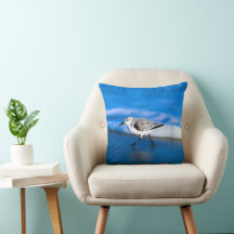 Little Sanderling Bird By Sea