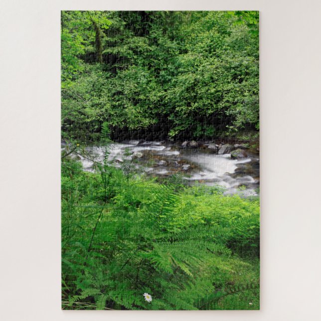 Little Sandy River And Ferns Jigsaw Puzzle (Vertical)