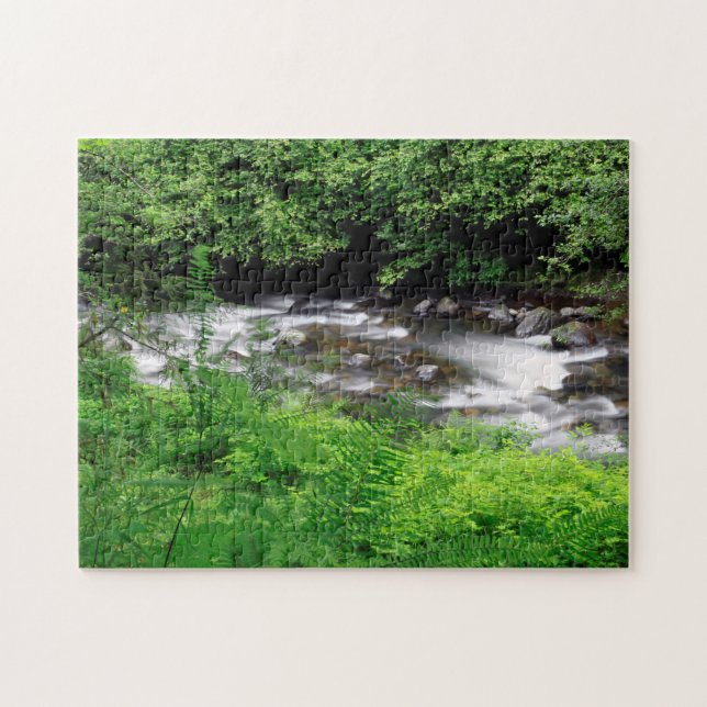Little Sandy River And Ferns Jigsaw Puzzle (Horizontal)