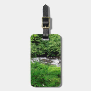 Little Sandy River And Ferns Luggage Tag