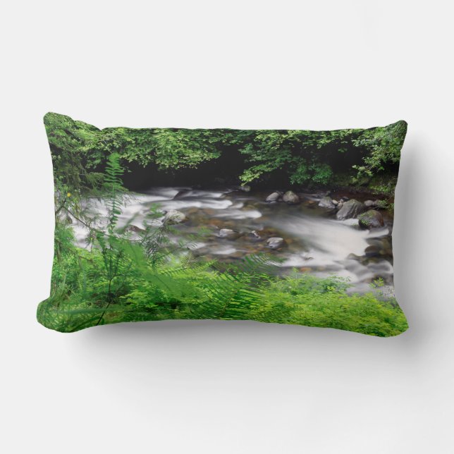 Little Sandy River And Ferns Lumbar Cushion (Front)