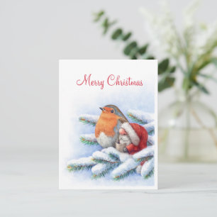 Little Santa with a red robin Postcard