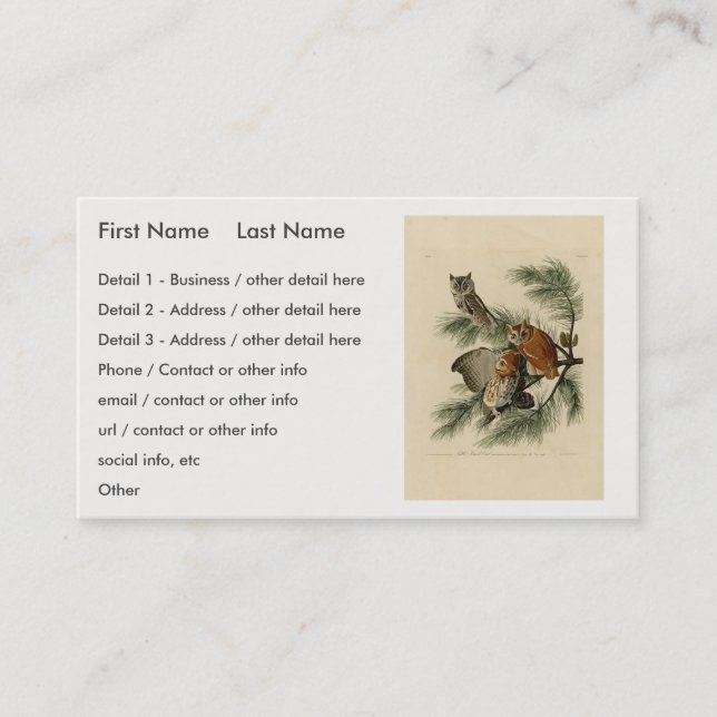 Little Screech Owl from Audubon's Birds of America Business Card (Front)