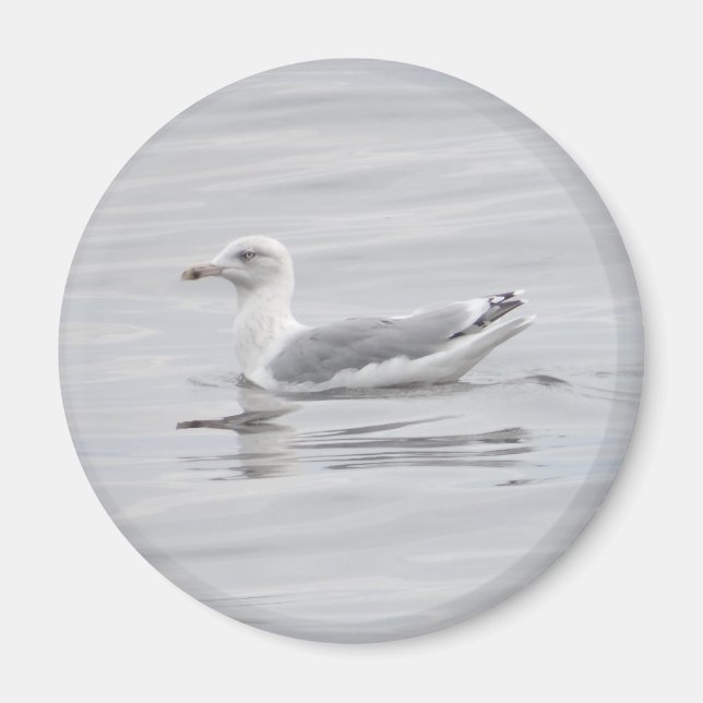 Little seagull magnet (Front)