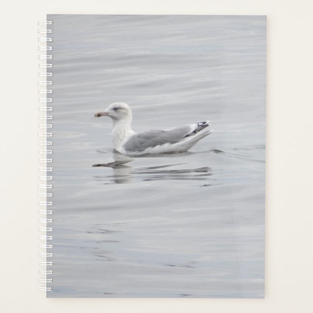 Little seagull planner (Front)