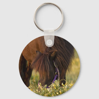 Little Sharni Shetland Pony Key Ring