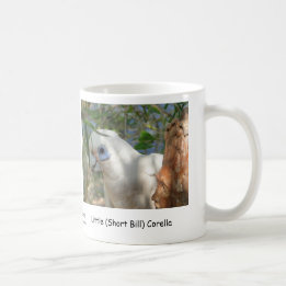 Little (Short Bill) Corella Coffee Mug