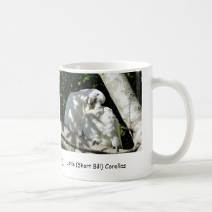 Little (Short Bill) Corellas Coffee Mug