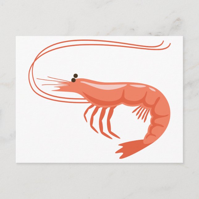 Little Shrimp Postcard (Front)