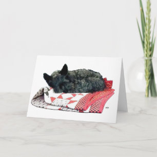 Little Sleeping Scottie Dog Card