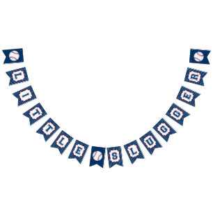 Little Slugger Baseball Party Bunting Flag