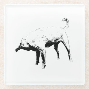 Little Sniff, Big Character Glass Coaster