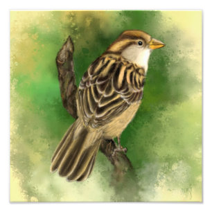 Little Sparrow Photo Print
