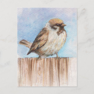 Little sparrow postcard