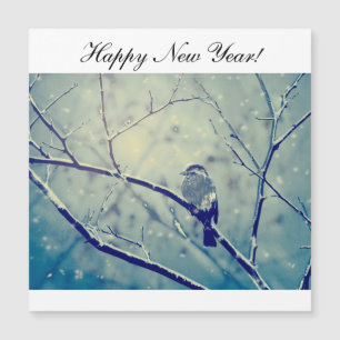 Little sparrow standing on winter tree