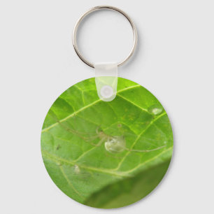 Little Spider Keychain