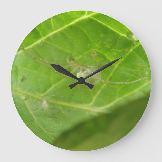 Little Spider Wall Clock (Front)