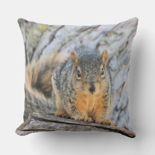 Little squirrel cushion