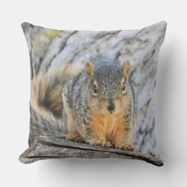 Little squirrel cushion (Front)