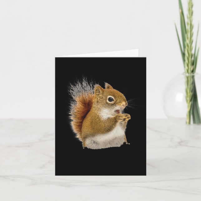 Little Squirrel Eating His Nuts  Card (Front)