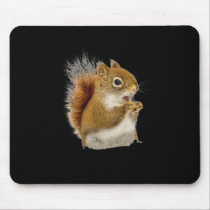 Little Squirrel Eating His Nuts Mouse Pad