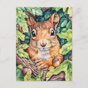 Little Squirrel in Oak Tree Postcard