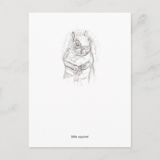 Little Squirrel Postcard (Front)