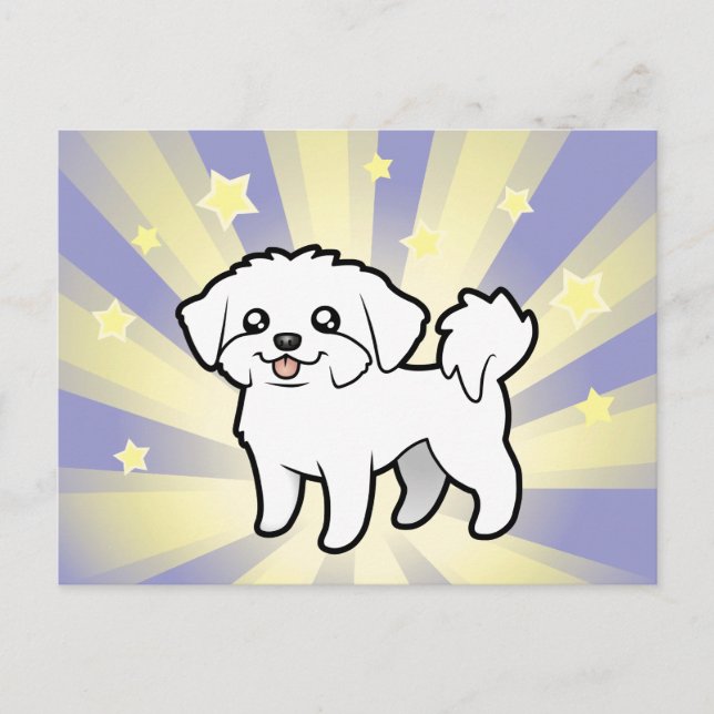 Little Star Maltese (puppy cut) Postcard (Front)