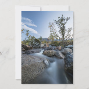 Little Stream Nature photo card
