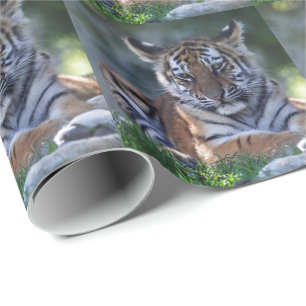 Little Stripes Wrapping Paper