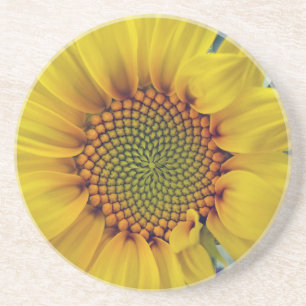 Little Sunflower Coaster