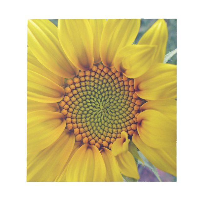 Little Sunflower Notepad (Front)