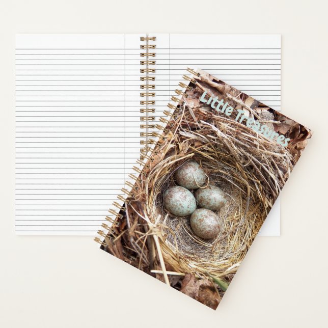 Little Treasures Bird Nest Eggs Notebook (Inside)