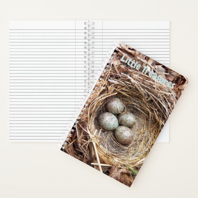 Little Treasures Bird Nest Eggs Notebook (Inside)